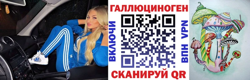 магазин  наркотиков  Кимовск  Галлюциногенные грибы мицелий 