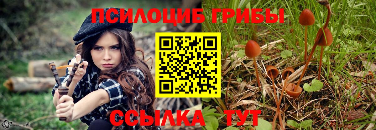 Псилоцибиновые грибы мицелий Кимовск